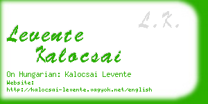 levente kalocsai business card